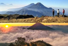 Hutan Mati dan Telaga Biru, Cerita Mistis dari Lereng Gunung Sindoro!