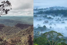 Gunung Harun, Tempat Magis dan Menakjubkan di Kalimantan!