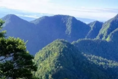 Petualangan Mendaki di Tengah Keasrian Alam, Gunung Djadi Riau