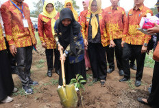 Wakil Wali Kota Pagar Alam Hadiri Pembukaan Peda KTNA ke-XVI di Empat Lawang