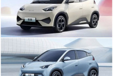 Mengenal BYD Seagull, Mobil Listrik Desain Sporty Ala Lamborghini