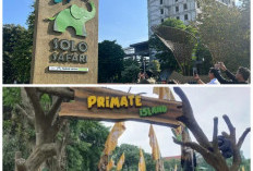 Liburan Keluarga Makin Seru! Ini 5 Tempat Wisata Anak di Solo yang Edukatif dan Instagramable di Tahun 2026