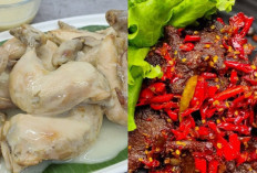 Dengan Rasa Yang Khas Inilah Hidangan Padang!