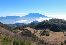 Menaklukkan Gunung Butak: Panduan Lengkap Pendakian Via Panderman