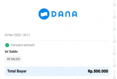 Jangan Lewatkan! Bonus Rp500.000 Buat Kamu yang Upgrade DanaMu Hari Ini!