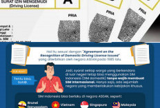 SIM Indonesia Bisa Berlaku di Luar Negeri? Simak Faktanya! 
