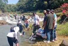 SMAnstupa 95 Tebar 12 Ribu Bibit Ikan 