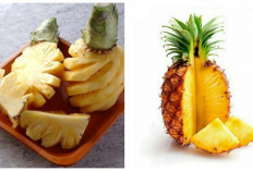 Kenali! Inilah Manfaat Nanas Madu untuk Kesehatan Tubuh