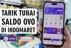 Begini Panduan Memilih Game Penghasil Saldo OVO yang Tepat untuk Anda