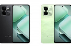 iQOO Z9x Resmi Hadir, Tawarkan Performa Kencang dan Baterai Jumbo!