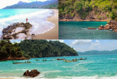Bandealit Surga Tersembunyi di Tepian Samudra, Wisata Pantai yang Memikat di Taman Nasional Meru Betiri