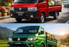 Suzuki Carry Pick Up Terbaru Siap Dukung UMKM di Indonesia