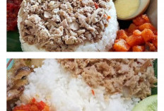 Nasi Megono Pekalongan, Sederhana Tapi Selalu Bikin Rindu untuk Kembali
