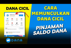 Bukan DANA Kaget, Begini Cara Dapatkan Saldo DANA Cicil Langsung dari Aplikasi Dompet Elektronik