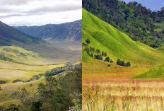 Mengungkap Misteri Bukit Teletubbies Keajaiban Alam atau Kekuatan Gaib? Cek Faktanya!