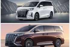 Update Harga Denza D9 Juni 2026 Resmi Dirilis, MPV Listrik Mewah Ini Semakin Jadi Sorotan