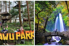 Rileksasi Sempurna! 3 Spot Wisata Alam Tawangmangu yang Menyuguhkan Keindahan dan Suasana Sejuk