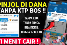 Wajib Coba! Cara Pinjam Saldo DANA Tanpa Syarat Ribet, Auto Cair Dalam Sekejap!