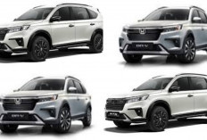 Harga Terbaru LSUV Mei 2026 Resmi Update Ini Daftar Mobil Paling Diburu Keluarga Indonesia Tahun Ini!