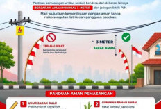 PLN Pagar Alam Imbau Warga Jaga Jarak Aman Dekorasi HUT RI dari Jaringan Listrik
