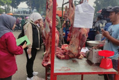 Cek Kesehatan Hewan Qurban