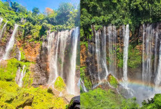 Yuk Kunjungi Dan nikmati keindahan panorama Air Terjun Tumpak Sewu di kaki Gunung Semeru! 