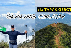 Melihat Misteri Cahaya Malam, Eksplorasi Fenomena Supernatural di Puncak Gunung Cikuray