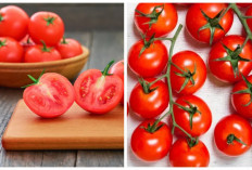 Ketahui! Baik untuk Mata hingga Cegah Kanker, Inilah 6 Manfaat Tomat bagi Kesehatan Tubuh 