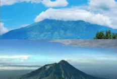 Menguak Misteri Gunung Merbabu, Cerita Mistis di Balik Keindahan Alam!