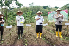 Polres Siapkan Lahat 17.6 Hektar