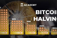 Ini yang Terjadi pada Harga Bitcoin Setelah Halving Day?, Berikut Penjelasanya