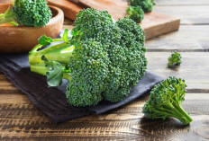 6 Kandungan Antioksidan Tinggi Dalam Brokoli Untuk Perlindungan Sel Tubuh