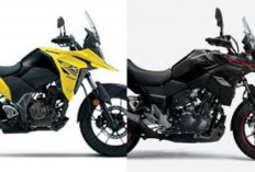 Review Suzuki V-Strom 250 2026 Motor Adventure Tangguh yang Diam-Diam Jadi Pilihan Favorit Touring Jarak Jauh!
