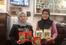 Permintaan Bibit Hortikultura di Pagar Alam Tetap Tinggi