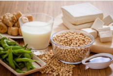 5 Manfaat Kacang Kedelai Sumber Protein Nabati Berkualitas Tinggi
