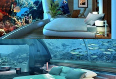 Yuk Nikmati Sensasi Menginap di Hotel Bawah Laut dengan Kamar Kaca Super Mewah
