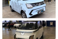 Mobil Listrik Berbahan Bambu Ramah Lingkungan yang Jadi Pusat Perhatian Dunia