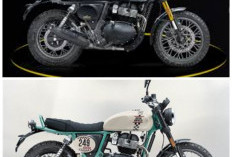 Royal Enfield Bear 650 Meluncur di RI: Scrambler Klasik Berjiwa Petualang dengan Harga Menarik