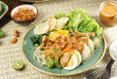 Perpaduan Rasa Nusantara 5 Kuliner Terbaik Hidangan Ikonik Yang Melekat
