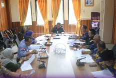 Dorong Pemanfaatan Enegi Panas Bumi