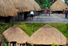Rumah Adat Rumah Adat Suku Asmat dan Kisah Budaya di Baliknya