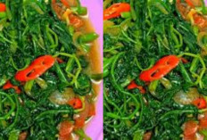 Resep Tumis Kangkung Enak Cocok Jadi Menu Makan Siang!