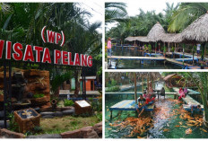 Cocok Dikunjungi! Inilah Wisata Pelang Dan Kebun Sagu Tuban