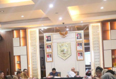  Kepala BKAD Pagar Alam Ikuti Rapat Monitoring IPKD 2025