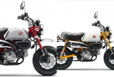 Review Honda Monkey 2026: Motor Mungil Bergaya Klasik Ini Ternyata Punya Performa yang Bikin Kaget!