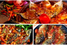 Bikin Nagih! 4 Makanan Khas Bontang yang Membuat Wisatawan Kembali Lagi