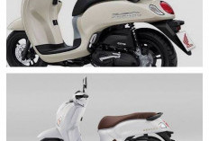 Bikin SPBU Sepi! Adik Honda Scoopy Resmi Meluncur, Konsumsi BBM Tembus 58 Km/Liter