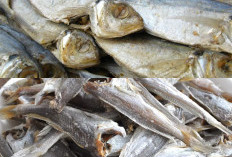 Lezatnya Ikan Asin yang Pas di Lidah, Panduan Menghilangkan Rasa Asin yang Berlebihan!