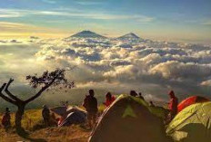 Yuk Intip Keindahan Puncak Gunung Sumbing, Kapan Lagi Mendaki Gunung Bisa Pakai Ojek?