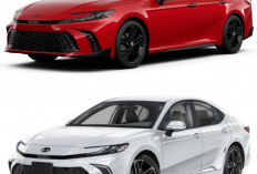 Toyota Camry 2026 Hadir dengan Teknologi Hybrid Generasi Terbaru dan Desain Hammer Head yang Agresif 2026! 